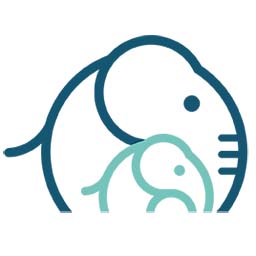 Aaron Keehn headshot