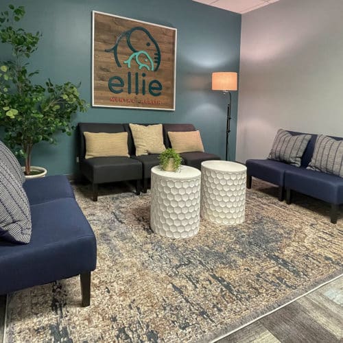 Illinois Downers Grove Therapy Clinic