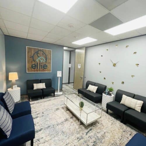 Texas Kingwood Therapy Clinic