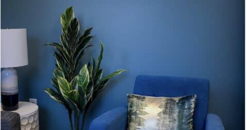 Ellie Mental Health Meridian, ID Chair