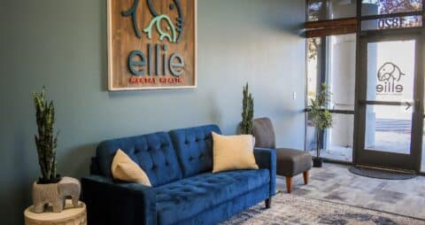 Ellie Mental Health Meridian, ID Lobby