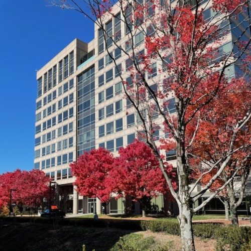 Georgia Atlanta Sandy Springs Therapy Clinic