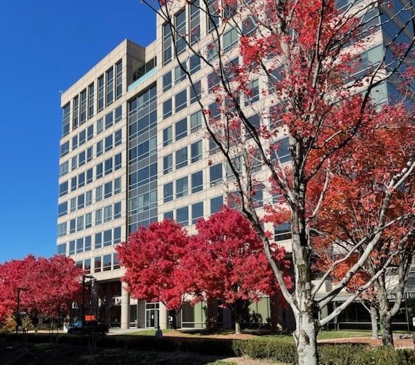 Ellie Mental Health Sandy Springs, GA