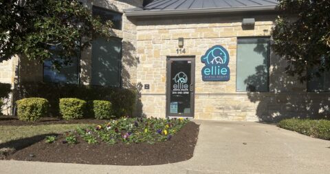 Ellie Mental Health Rockwall, TX Clinic Building