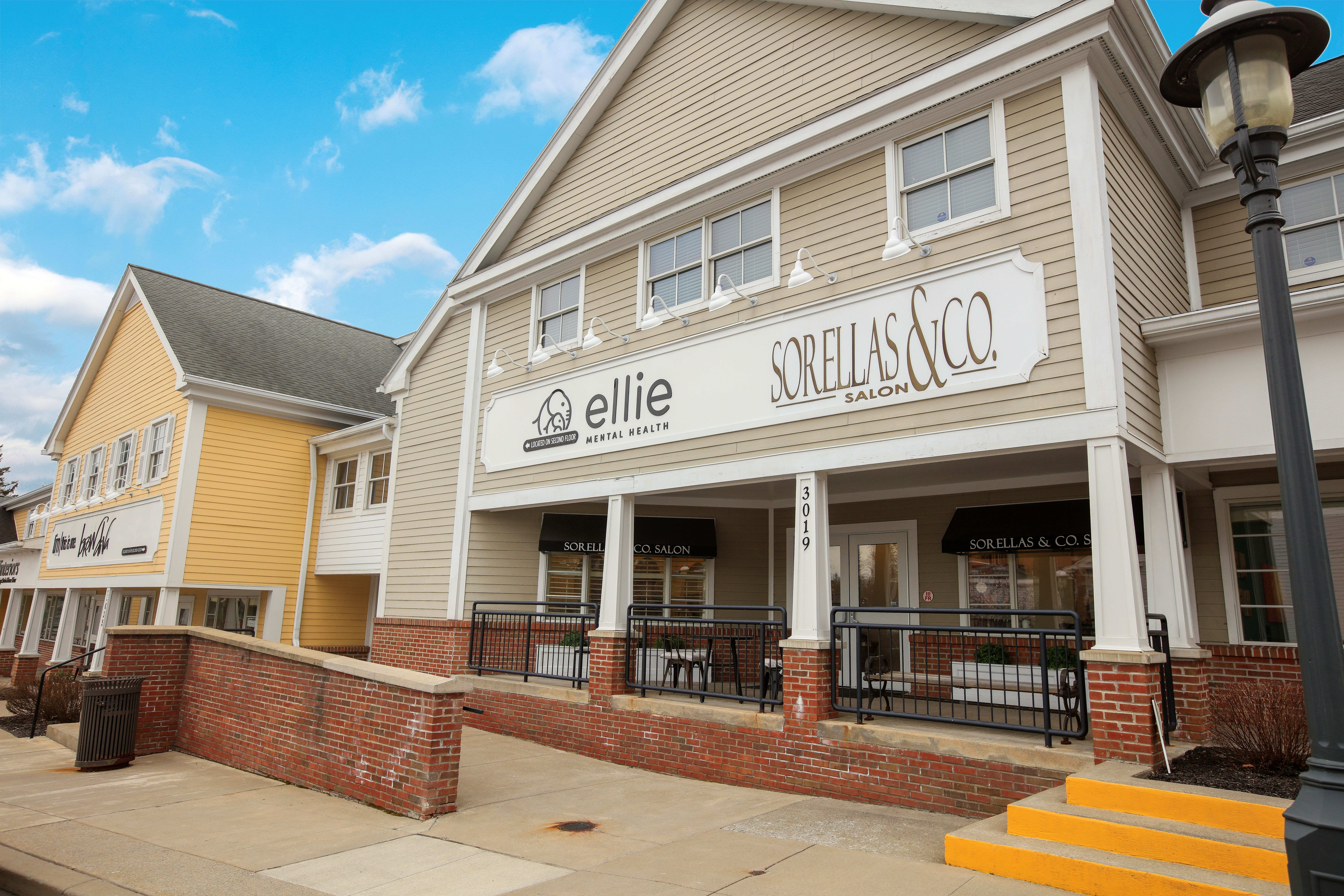 Ellie Mental Health Rochester, NY Clinic