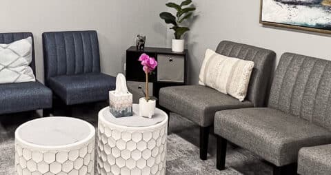 Ellie Mental Health Oak Brook, IL Lobby