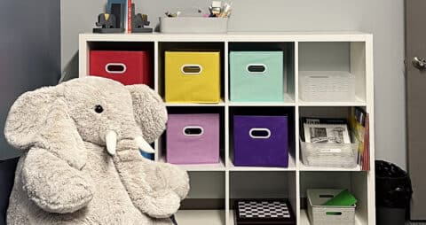 Ellie Mental Health Oak Brook, IL Playroom