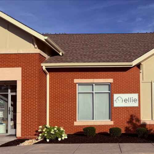 Missouri Lake St. Louis Therapy Clinic