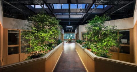 Lancaster-Manheim Township, PA Ellie Mental Health Clinic