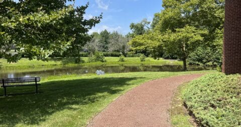 An exterior image of a bench near a stream against a backdrop of green grass and a curved walking path.