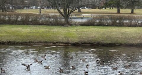Ellie Mental Health Jersey Shore, NJ View