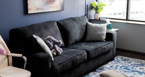 Ellie Mental Health Palatine, IL Clinic Office