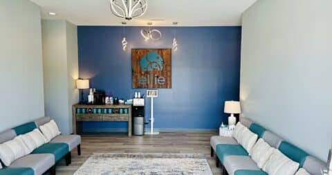 Ellie Mental Health Wentzville, MO Clinic Lobby