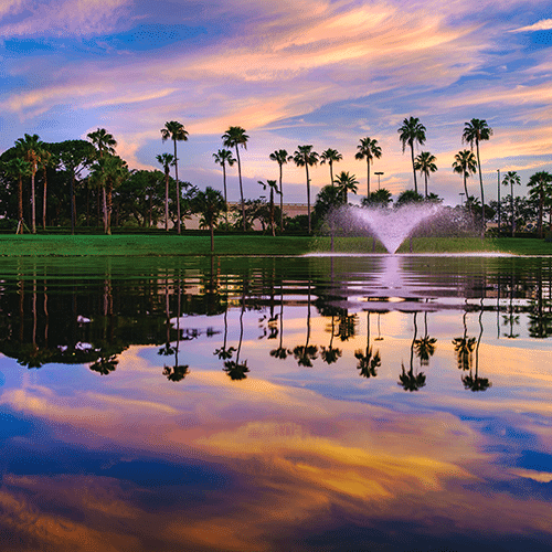 Palm Beach Gardens, FL