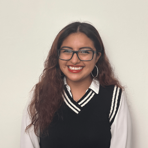 América Vicente-Solares