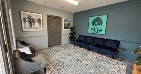 Ellie Mental Health Fredericksburg Southpoint, VA Clinic Lobby
